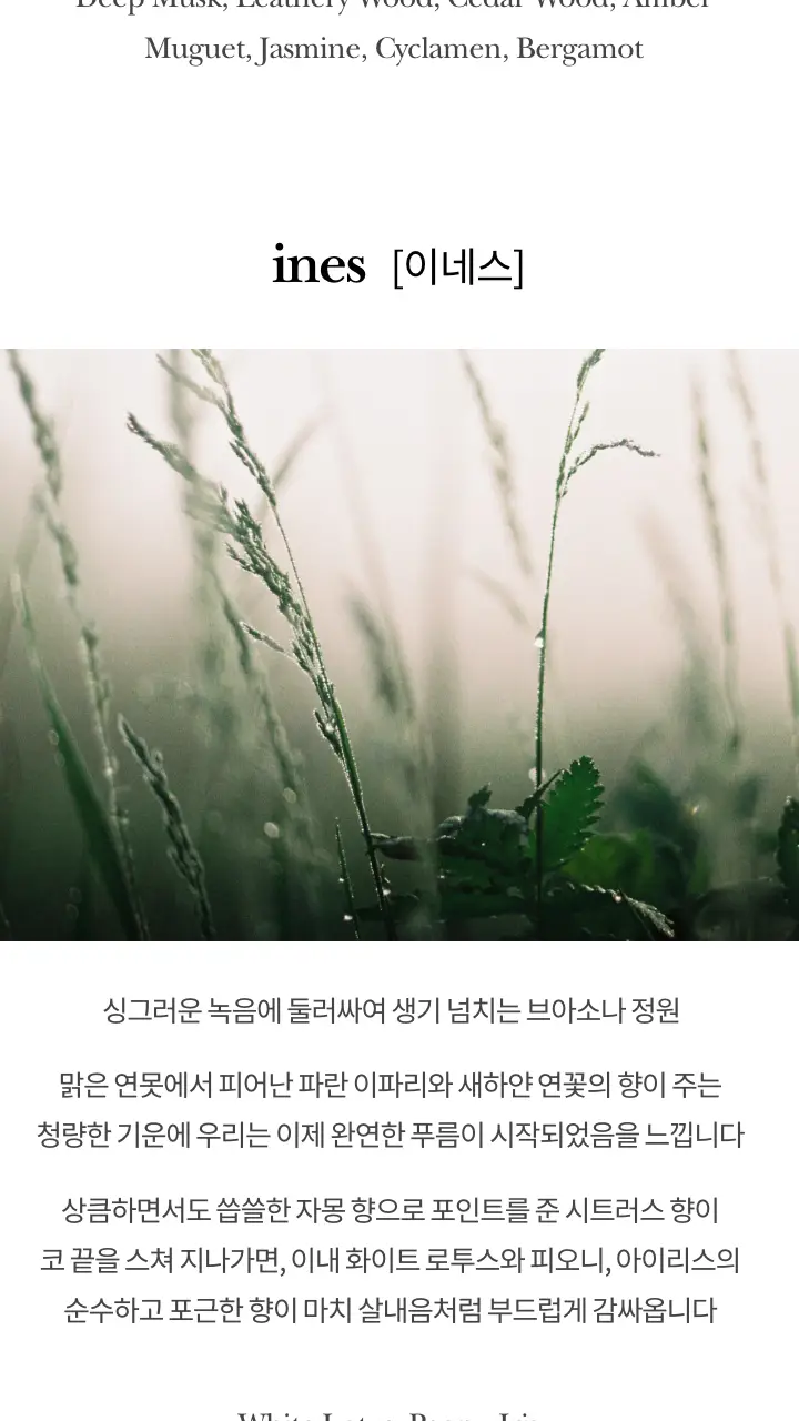 [호텔향/선물패키지] 르셀르 룸 스프레이 250ml 3종 상세페이지 9